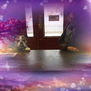 Meet your Posher, Rose